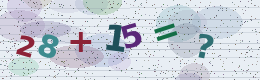 Math captcha challenge